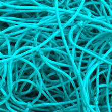 Load image into Gallery viewer, recycled Green fishing net sea turtle florida